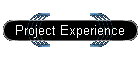 Project Experience